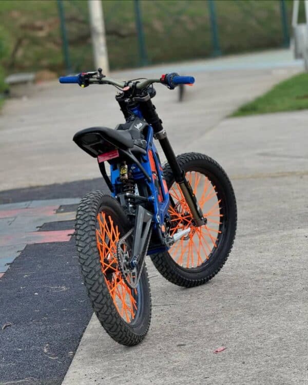 WhatsApp Image 2025-08-07 at 6.56.47 AM 2025 Sur-Ron Light Bee X