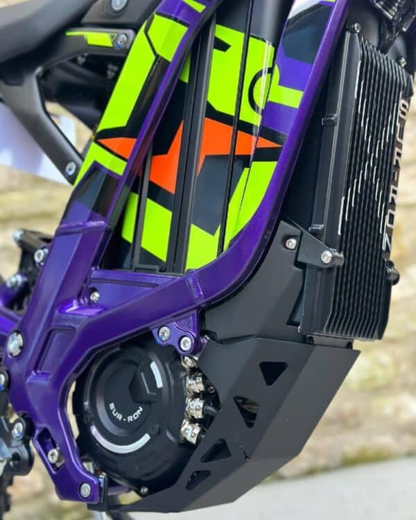 WhatsApp Image 2025-08-10 at 2.00.28 AM 2025 Sur-Ron Light Bee X